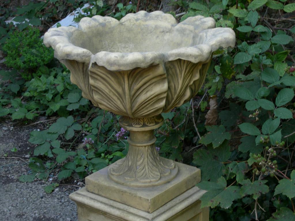 <p>Accanthus Leaf Tazza on panel base, available as a pair.</p><p>Height 76 cm, Diameter 52 cm , Base 22 cm square